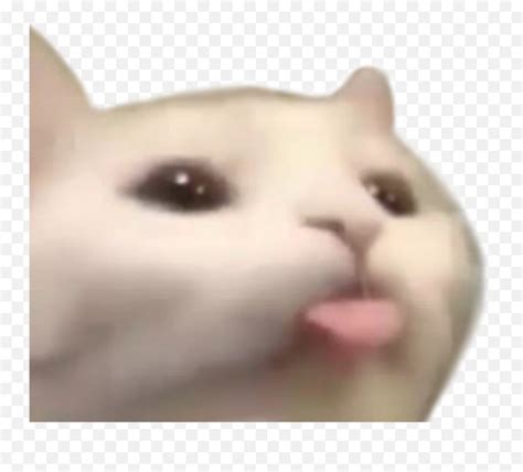 Kitty Cat Png Crying Cat Meme Png, Transparent Png, 58% OFF