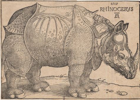 Albrecht Dürer, Rhinocerus