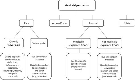Male Genital Dysesthesia at Henry Storms blog