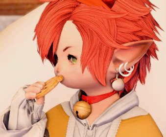 Just Another Fat Cat | Eorzea Collection