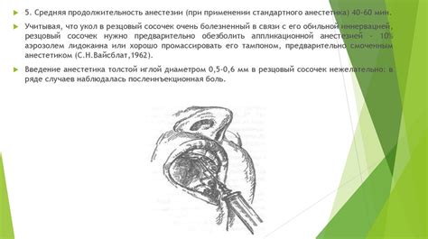 Обезболивание верхней челюсти. Резцовая анестезия - презентация онлайн