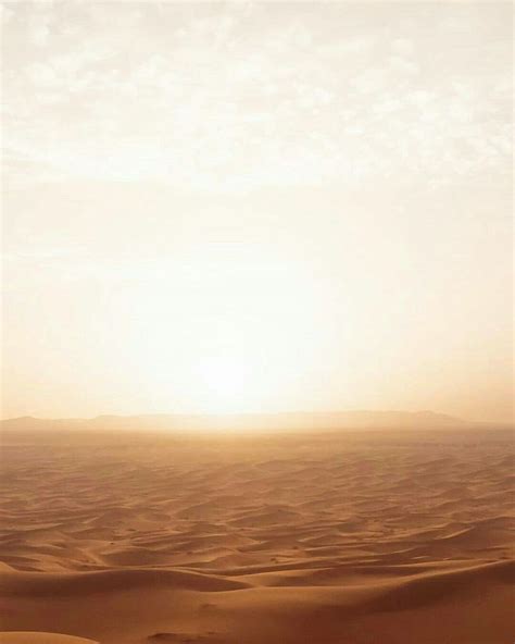 Stunning Desert Sunset Background