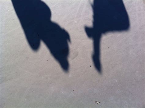 Shadow Play : Ellen's blog