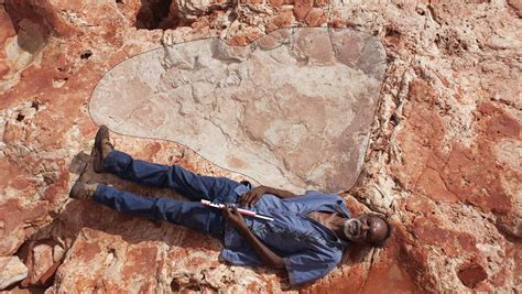 worlds biggest dinosaur footprint   australias jurassic park