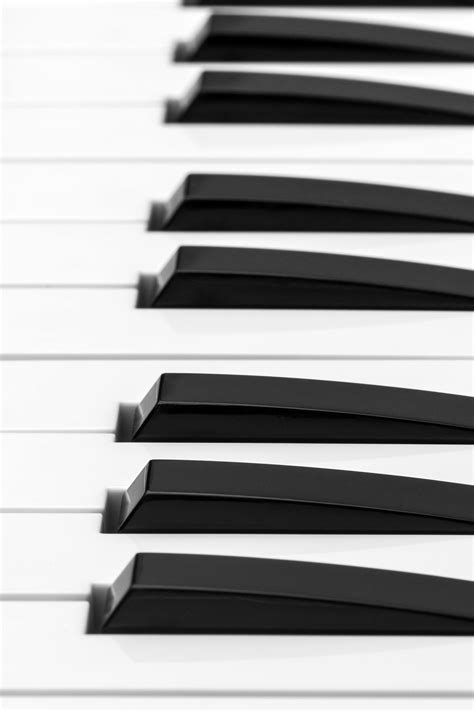 Thick Ebony Photos, Download The BEST Free Thick Ebony Stock Photos