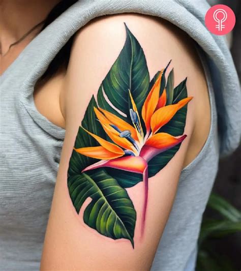 beautiful bird  paradise tattoo designs  meanings