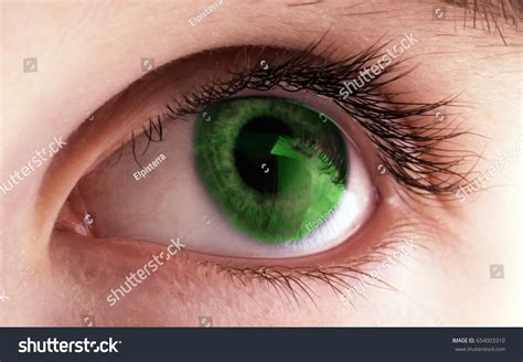 Human Eye Green Stock Photo 654003310 | Shutterstock