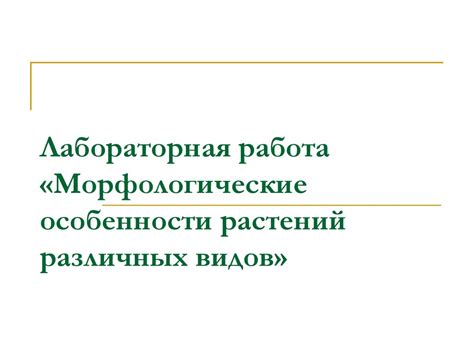 Морфологические особенности растений различных видов - презентация онлайн