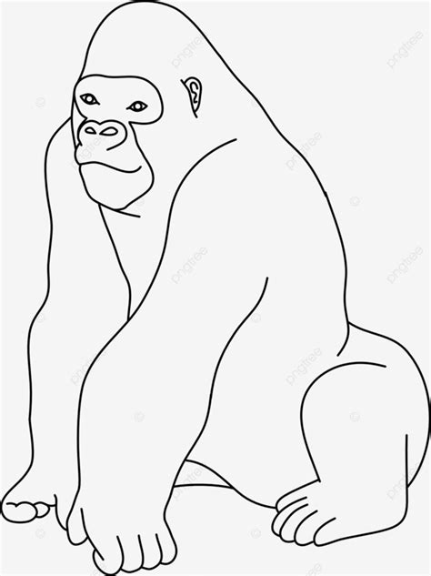 Gambar Mewarnai Gambar Gorilla Yuk Contoh Anak Paud G - vrogue.co