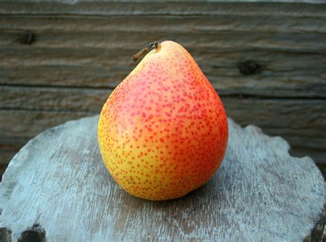 Pear Fruit Free Stock Photo - Public Domain Pictures