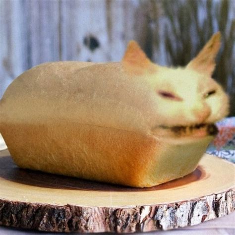 КоТоХлЕб😼🍞 - YouTube