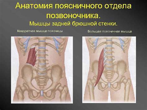 Российская медицинская академия последипломного образования ...