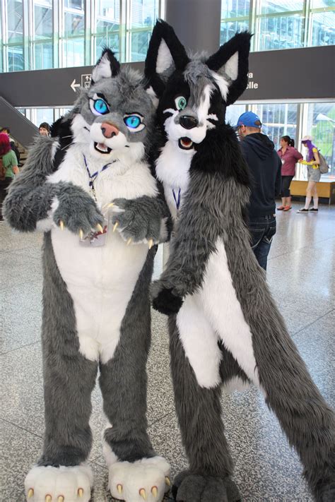 Furry fandom - Wikipedia