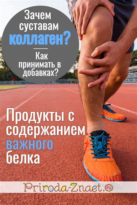 Коллаген: для суставов и связок, в каких видах–мазях, капсулах или ...