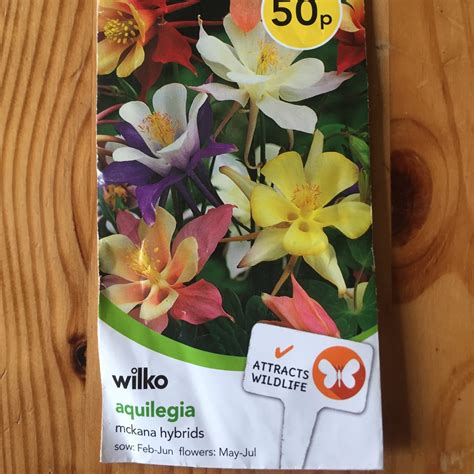 Aquilegia 'Mckana Hybrids' (Mix), Aquilegia 'Mckana Hybrids' (Mix) in ...