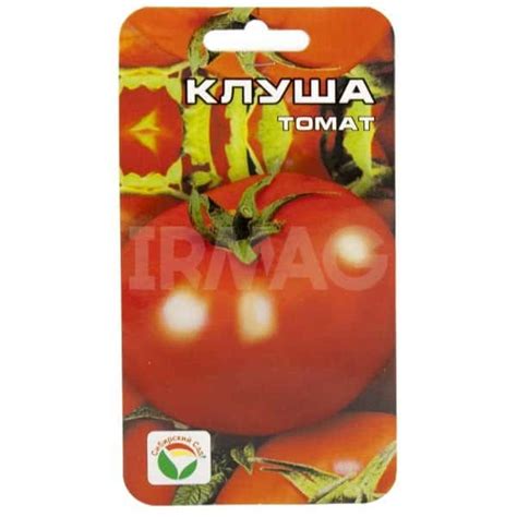 Томат "Клуша": характеристика и описание сорта, урожайность, отзывы, фото