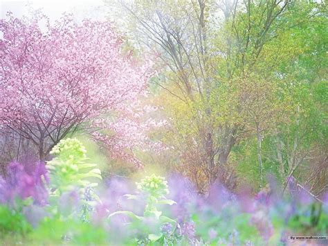 🔥 [40+] Spring Scenery Wallpapers | WallpaperSafari