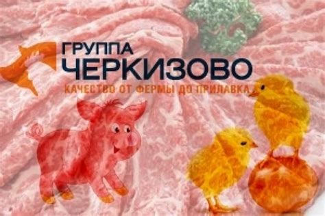 Россия. Группа Черкизово выходит на рынок мяса индейки — Latifundist.com