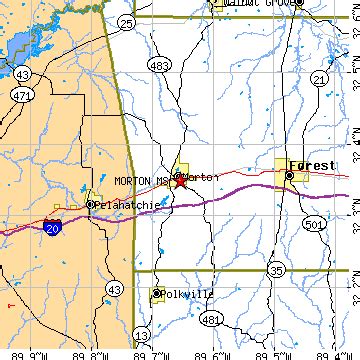 Morton, Mississippi (MS) ~ population data, races, housing & economy