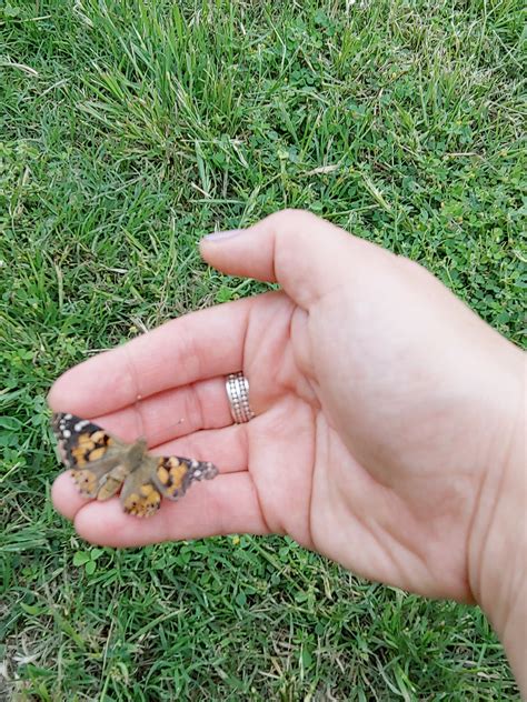 Remembering Jay Zagursky: Full Obituary and Service Info