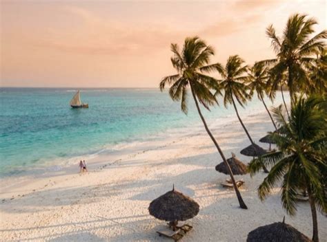 kenya safaris diani beach private tours mystic dune adventures