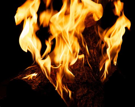 How Revelation Defines “Victorious” | brianjenningsblog.com