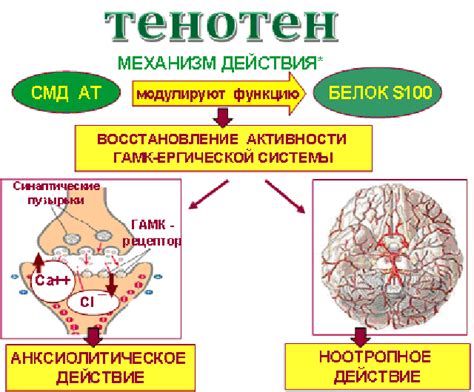 Тенотен: общие сведения о лекарстве, состав, инструкция, отзывы