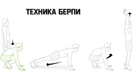 Упражнение Берпи: техника выполнения с видео и фото