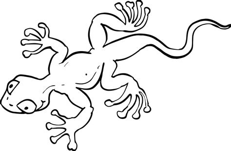 Eidechse | Ausmalbilder tiere, Ausmalen, Ausmalbilder