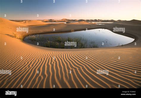 A desert oasis Stock Photo - Alamy