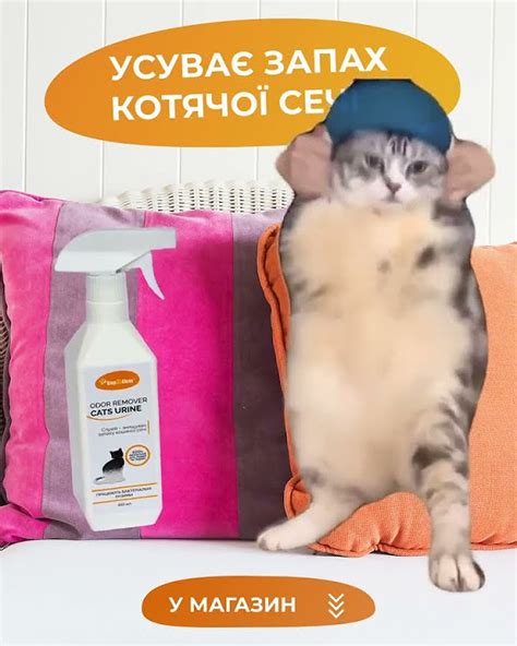 Нейтралізатор запаху котячої сечі - YouTube