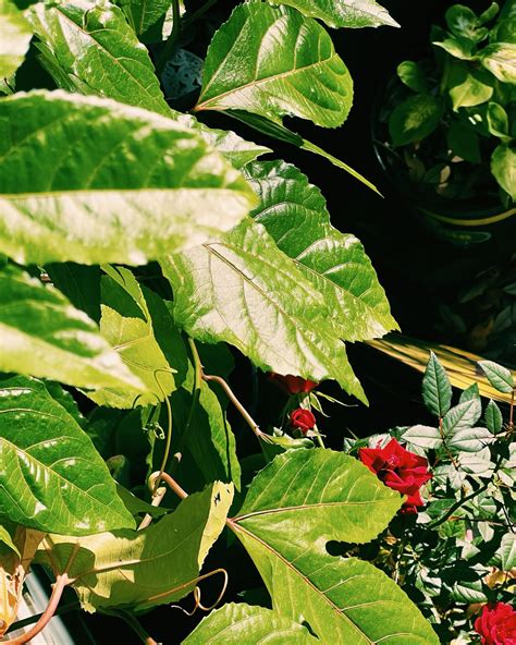 Cassie Brooks (@cassie_brooks_) • Instagram photos and videos