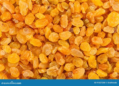 Russin arkivfoto. Bild av livligt, ingrediens, bunt, russin - 91027268