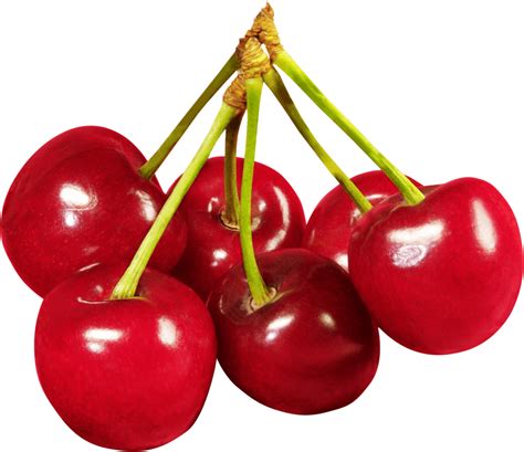 Cherries Fruit Nature Free PNG