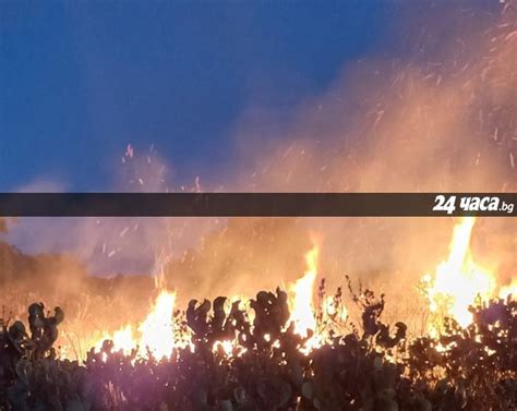 Голям пожар лумна между видинските села Иново и Градец, затрудни движението