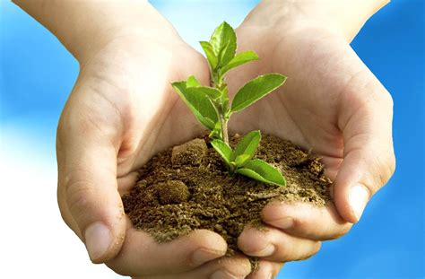 conservation flashcards memorang