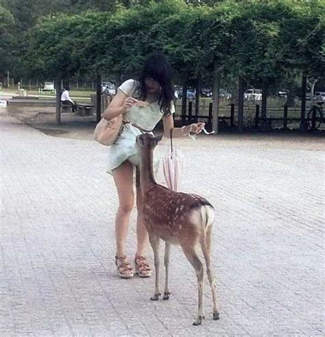 43 Perfectly Timed Photos | KLYKER.COM
