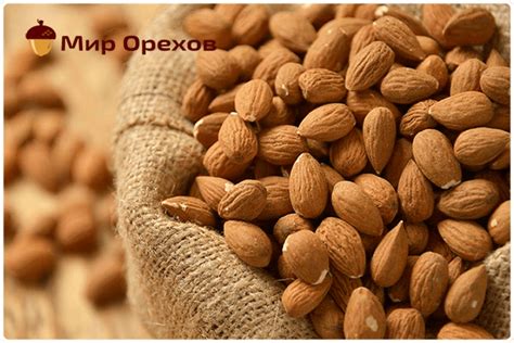 Миндаль где растет