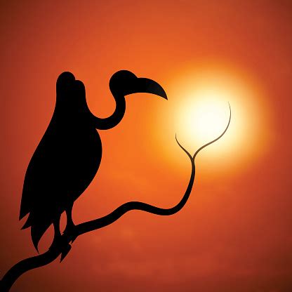 The Silhouette Of A Vulture Sunset Stock Illustration - Download Image Now - iStock