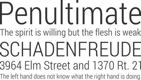 Roboto font family