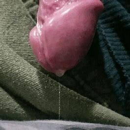 precum dripping gifs sexcom