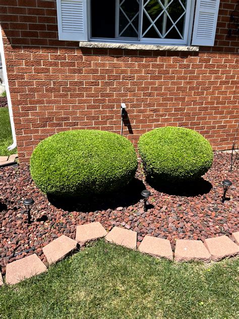 Gardners are debating how landscaping edging menards looks in sun 18