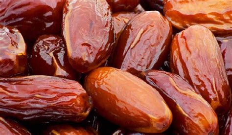 apis royal zahidi premium dates price + review - Arad Branding
