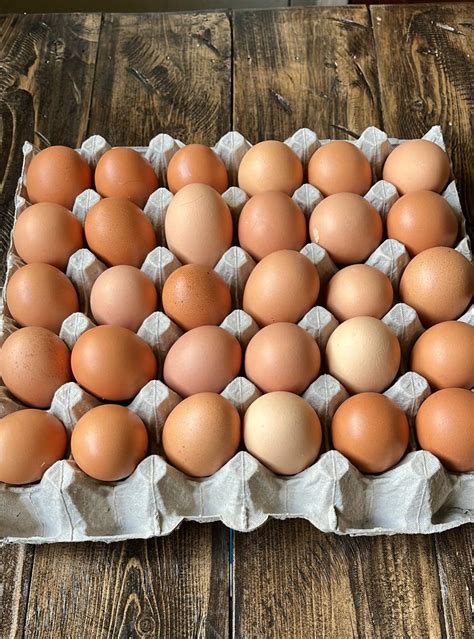 Farm Fresh Eggs – thehillsidefarmers