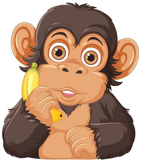 images clipart de singes de dessin animé - Observer
