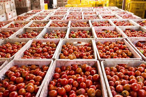 Food Storage Stock Photos, Images and Backgrounds for Free Download
