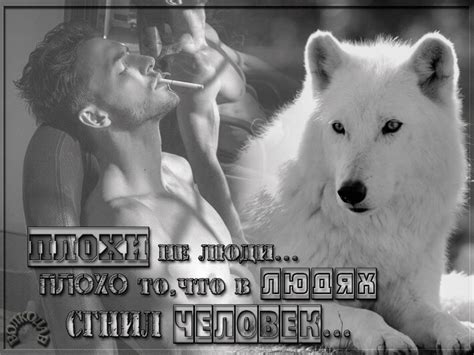 Плохи не люди...плохо то,что в людях сгнил человек... | Люди, Цитаты