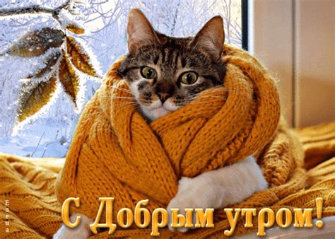 Анимированная открытка С добрым утром!