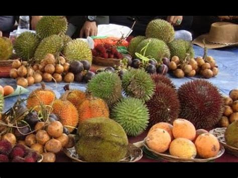 vlog buah khas kalimantan part  youtube