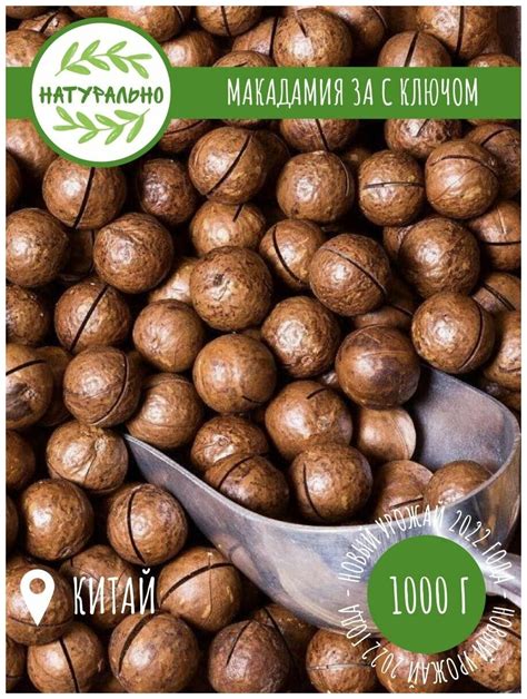 Фон орех макадамии — купить по низкой цене на Яндекс Маркете